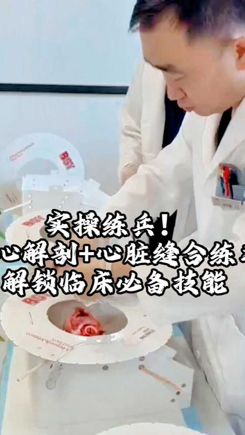 实操练兵!猪心解剖+心脏缝合练习解锁临床必备技能