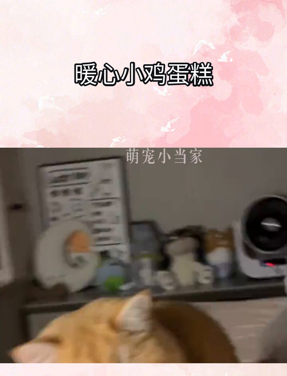 暖心小鸡蛋糕