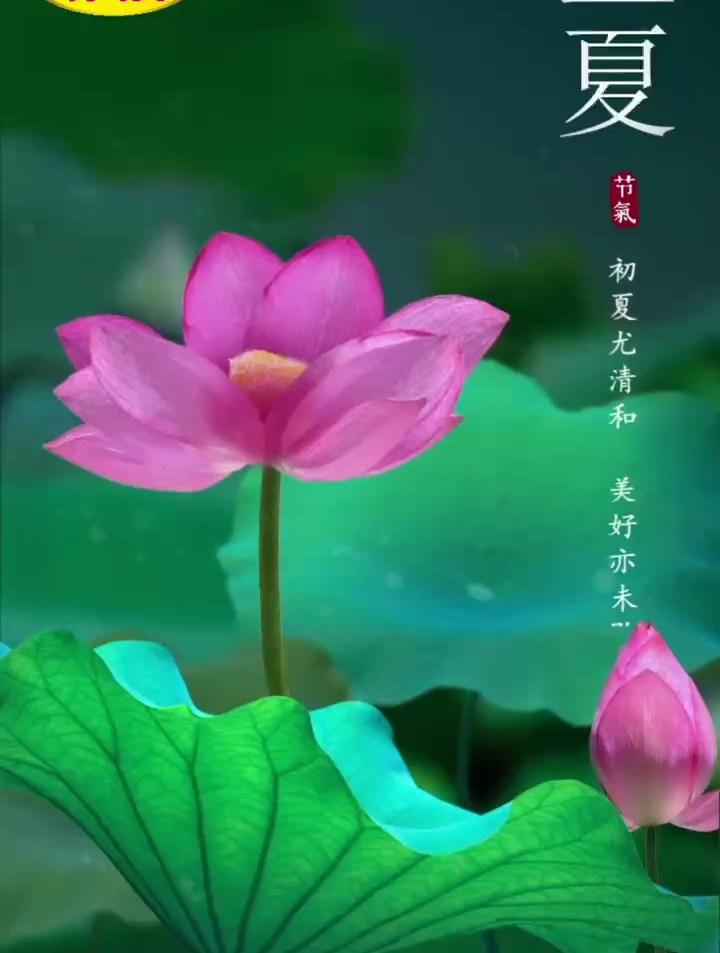 春意藏,夏初长立;夏己至,万物并秀