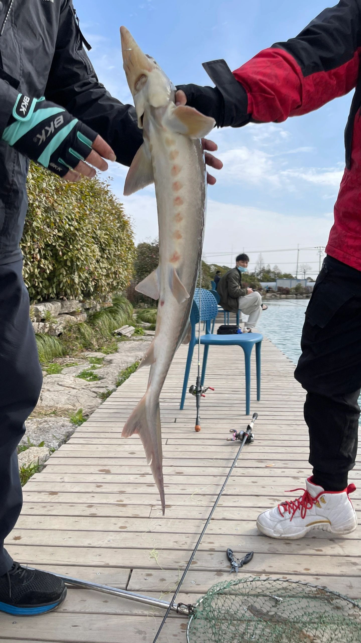 鱼道是什么?野钓如何找鱼道?老钓友总结这4个方法!