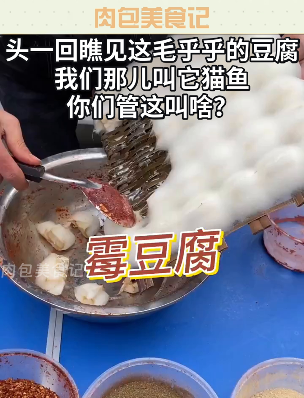 头一回瞧见这毛乎乎的豆腐,我们那儿叫它猫鱼,你们管这叫啥?