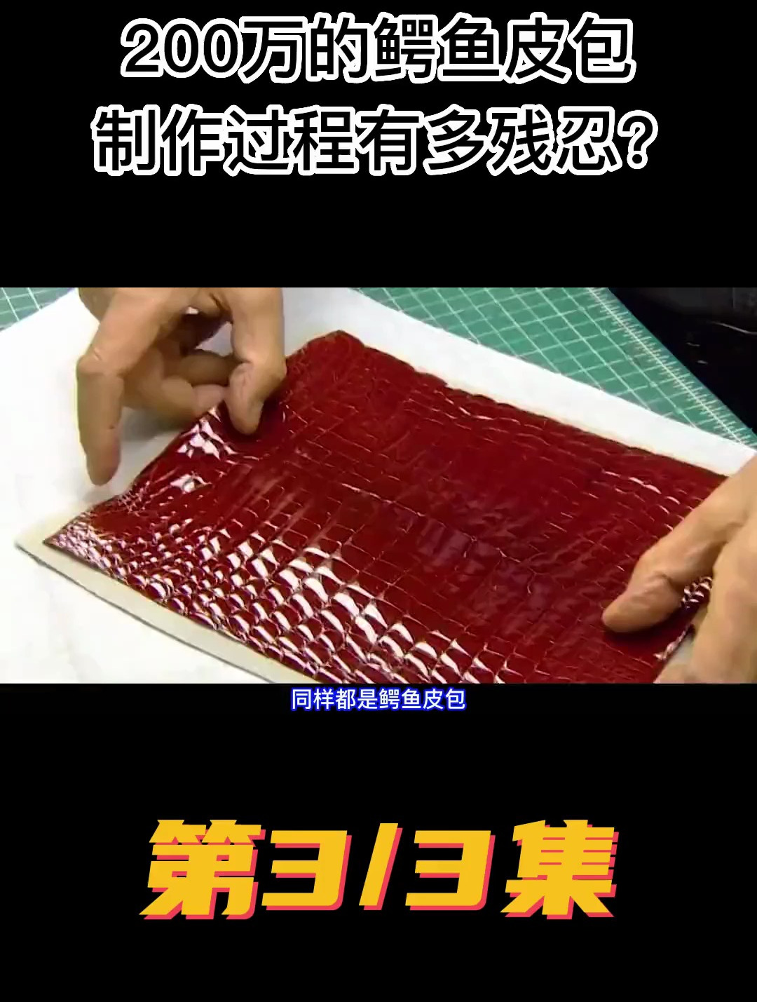 200万的鳄鱼皮包 制作过程有多残忍
