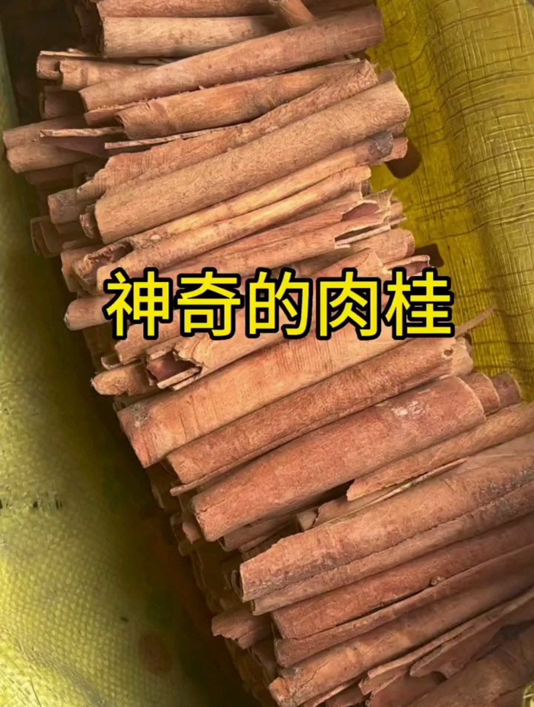 肉桂都有什么用处?你知道吗?