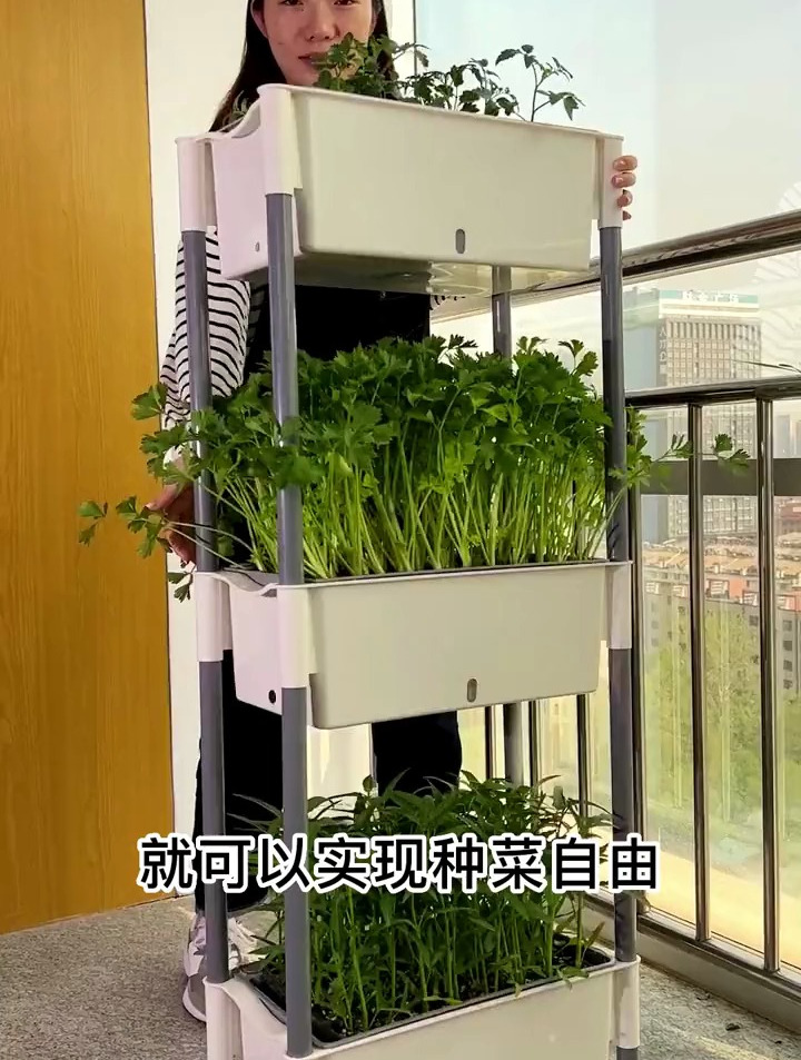只需要一个A4纸的面积,就可以实现种菜自由!