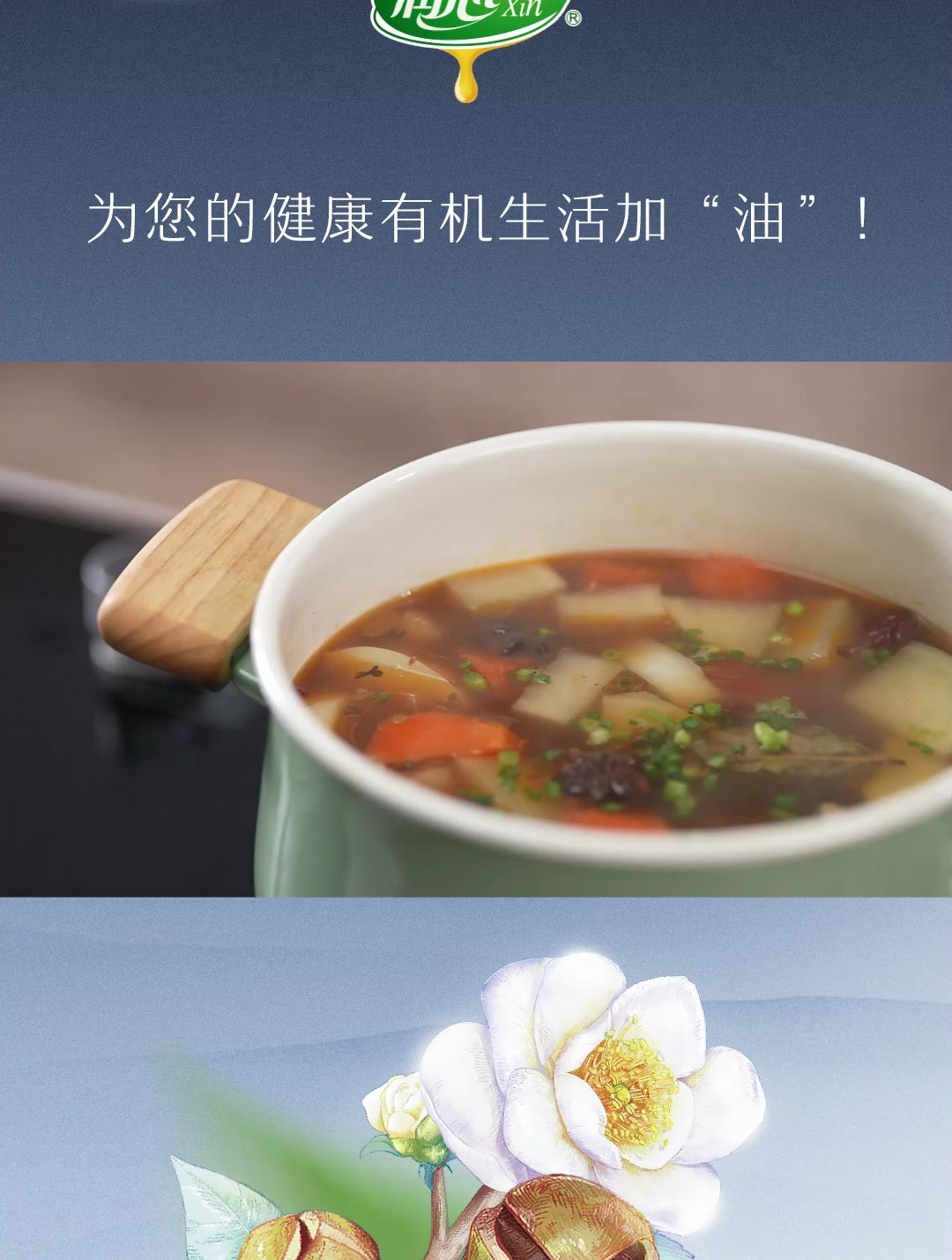 润心今日食谱:红烧羊肉煲