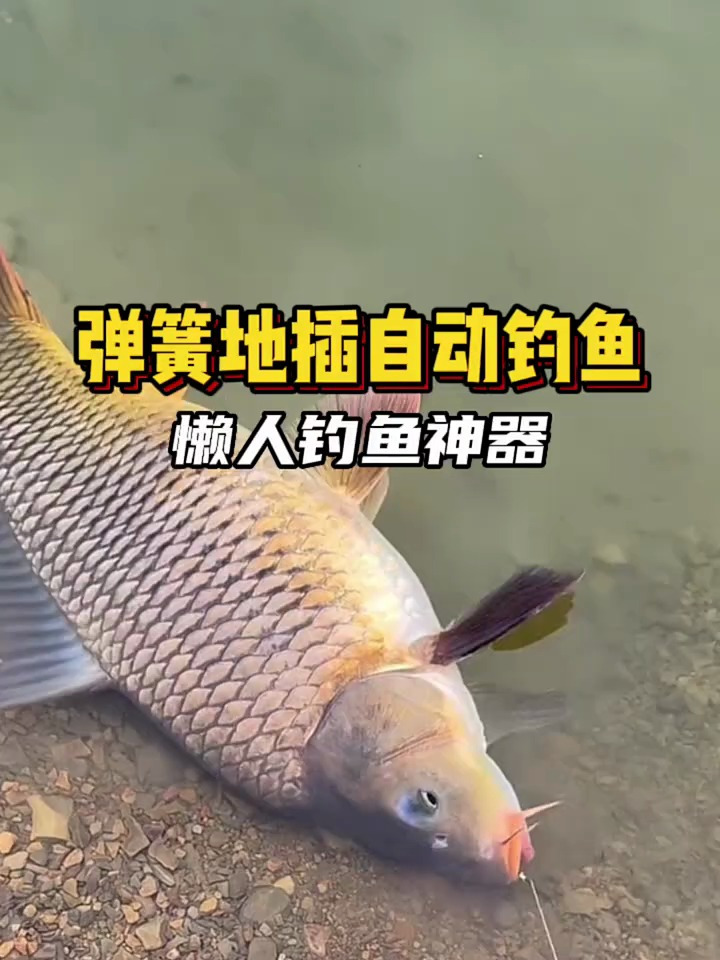 我每次钓鱼都会带上的自动钓鱼神器,自从有了它再也没有空军过了