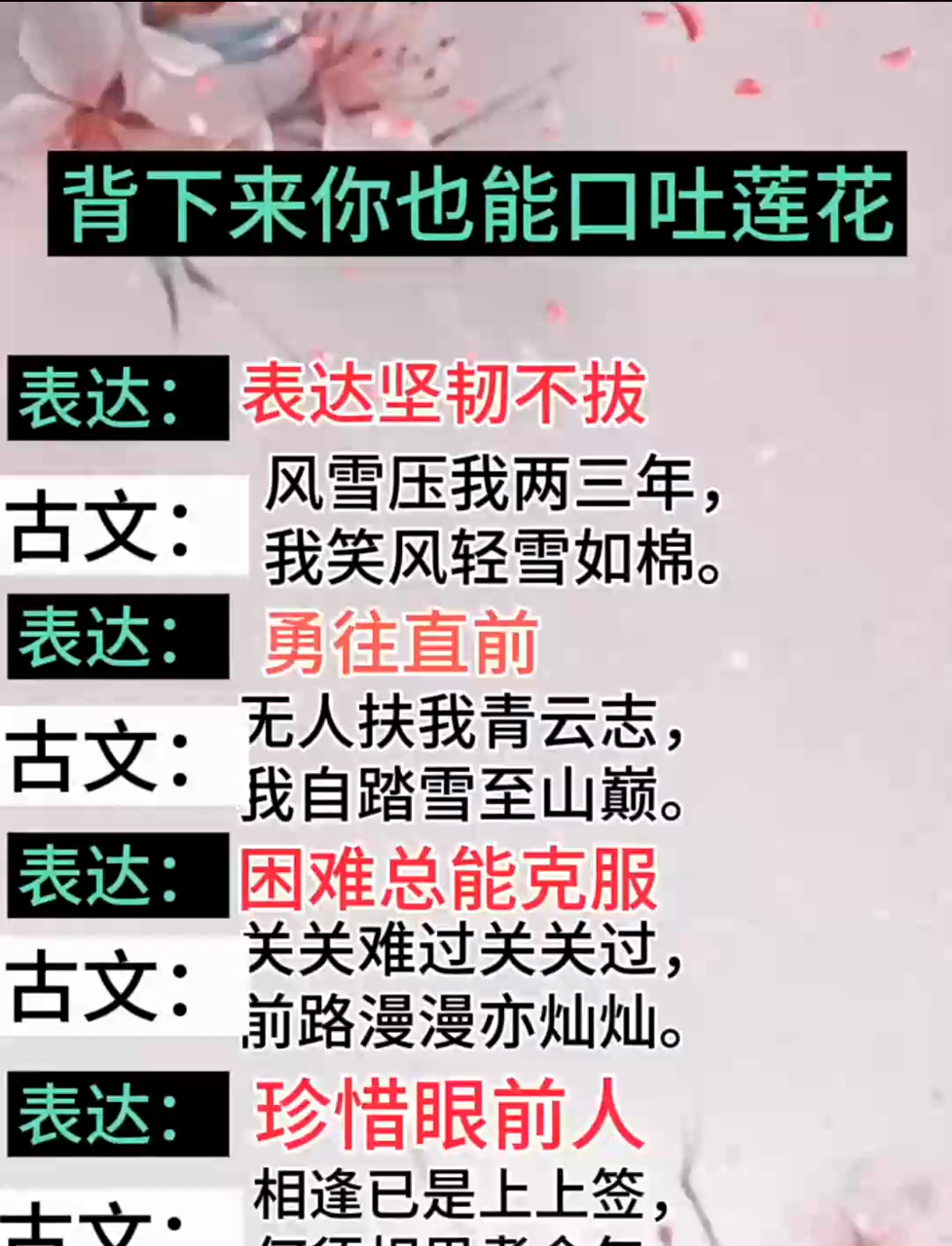 朋友圈文案大揭秘,实用技巧全分享,开启精彩社交新体验