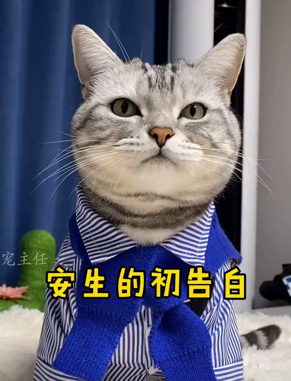 安生头回认真向泡芙示爱,终于跨出了第一步……不过先让我乐会儿