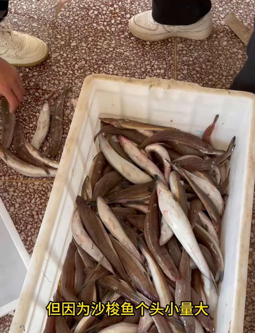 尝过这种小干鱼没?味道绝了!