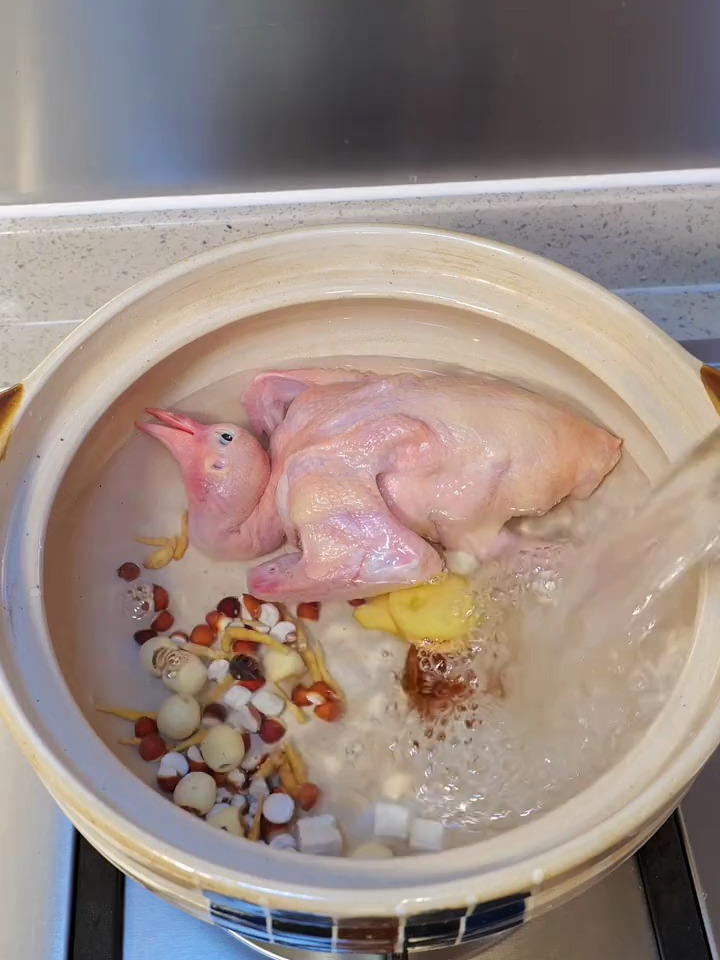 一鸽胜九鸡,儿童鸽子汤这样煲营养翻倍,还能提高免疫力