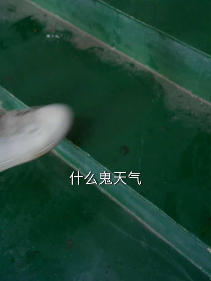 第1集:撞见出轨