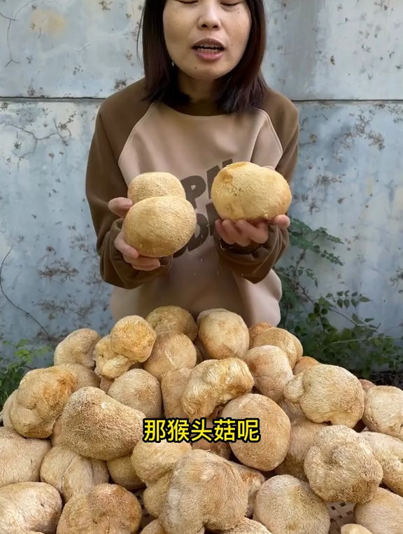 建议你试试 猴头菇,煲汤煮粥炒菜,关键价格还实惠
