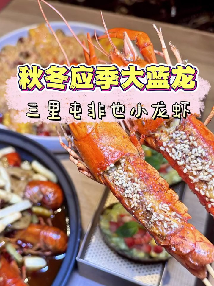 错过这个季节的蓝龙又要等一年