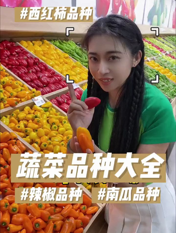 辣椒品种,西红柿品种,黄瓜品种,南瓜品种。这真是蔬菜品种大全