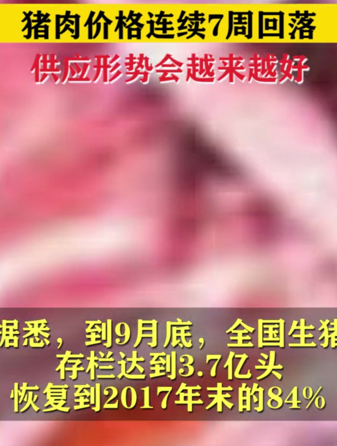 猪肉价格连续7周回落 农业农村部:供应形势会越来越好