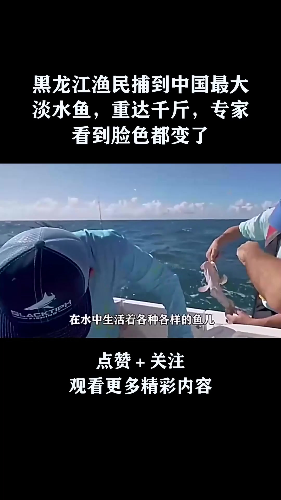 黑龙江渔民捕到中国最大淡水鱼,重达千斤,专家看到脸色都变了