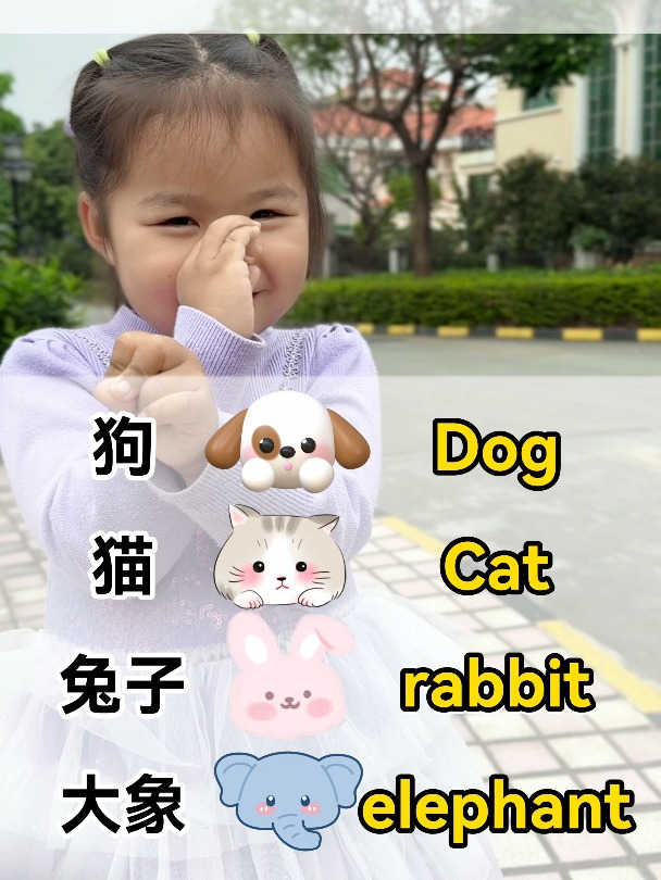 各种动物的英文怎么说