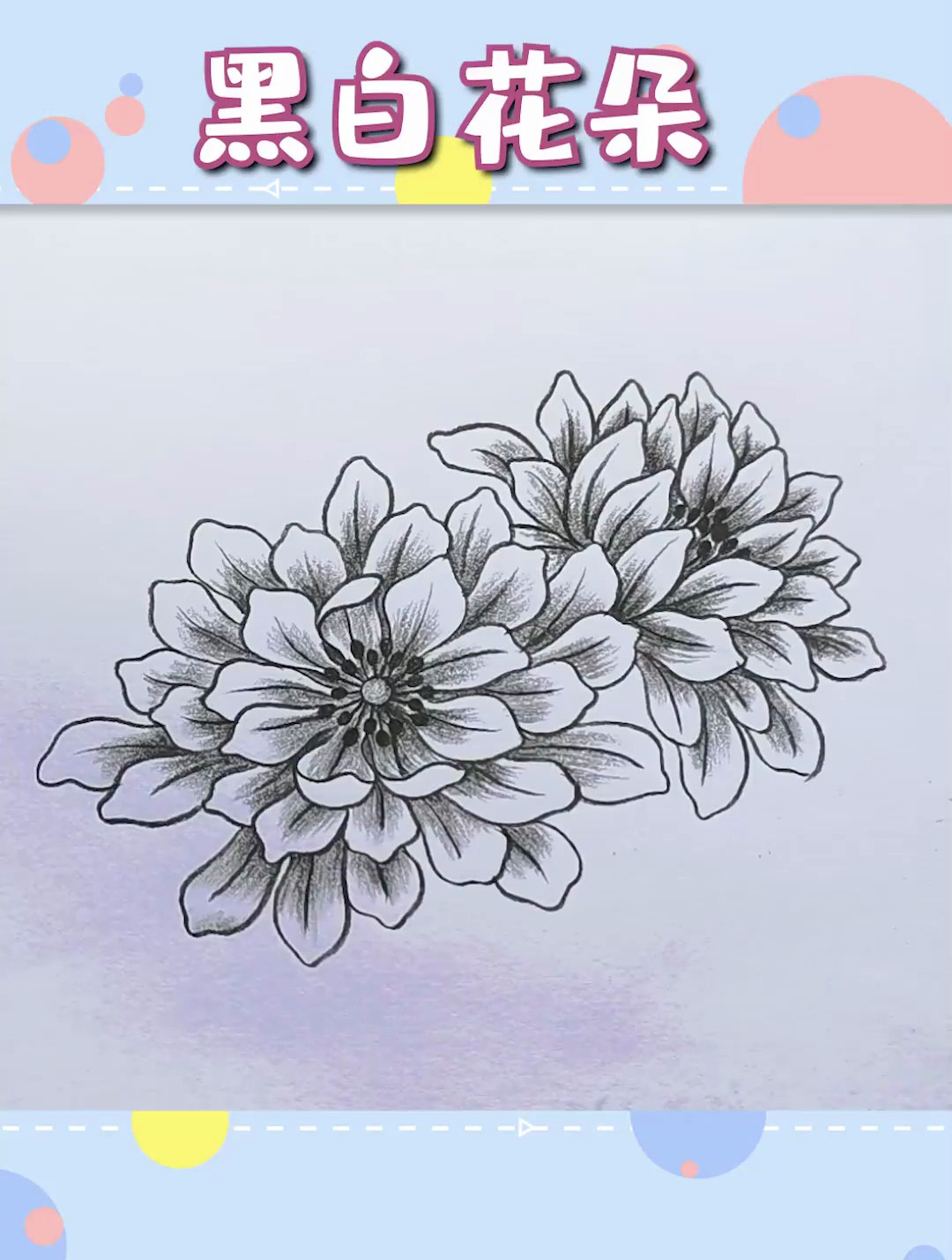 黑白线描花朵,需要你的一点点耐心