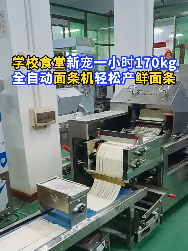学校食堂面食制作,全自动面条机一小时170kg