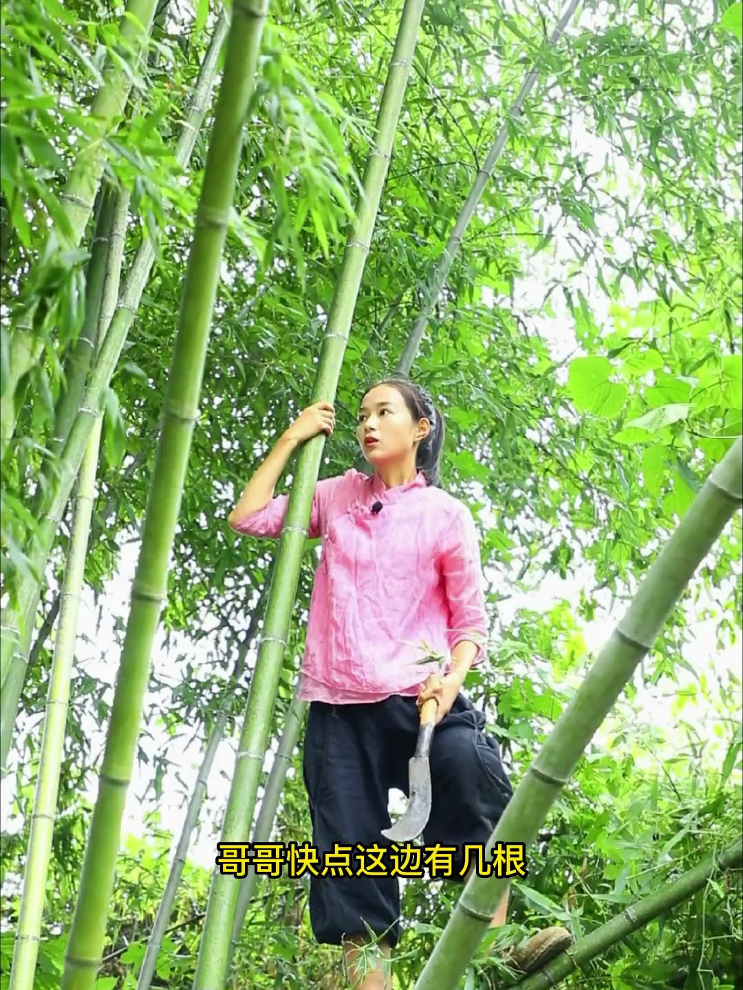 做个竹篱笆防止小动物进菜园