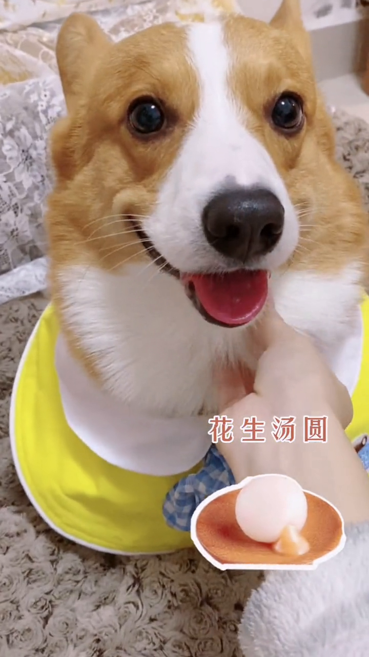 原来你有这么多衣服 元宵快乐!