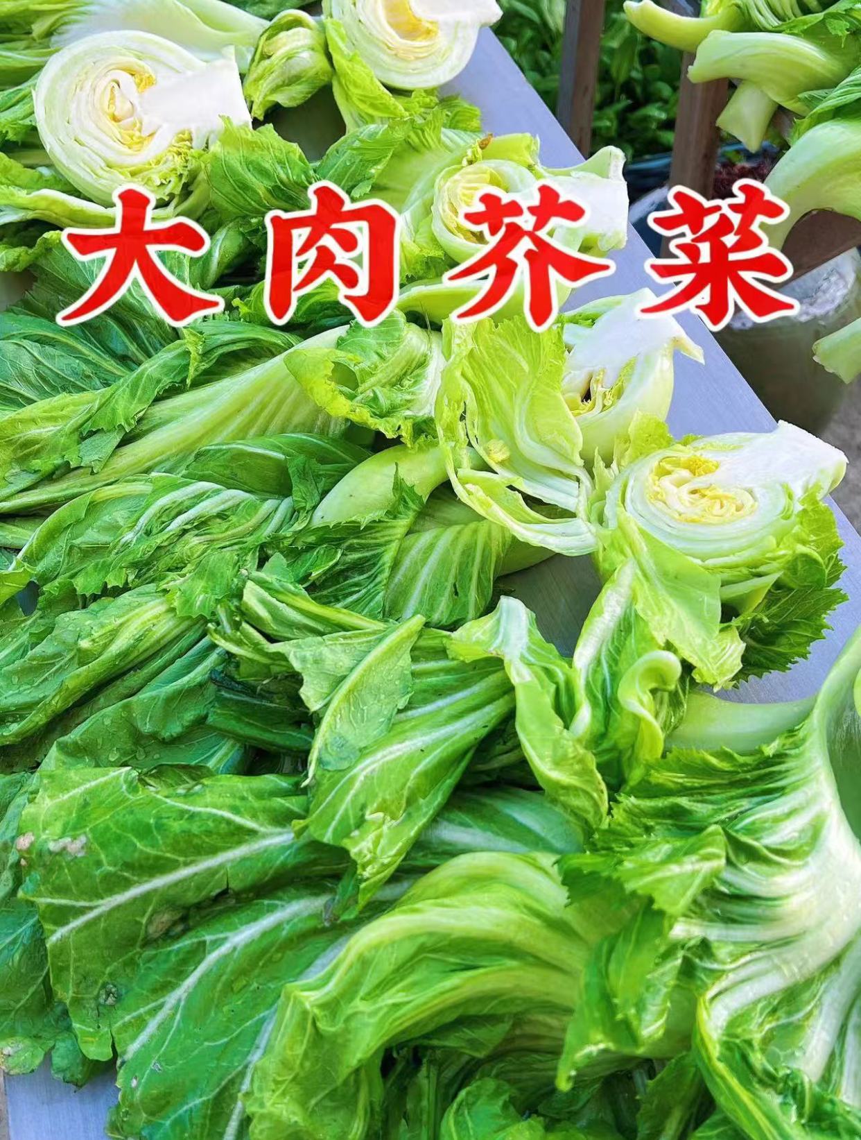 七八月份啥都不种,也要种上一些这个肉芥菜,南方北方都能种植