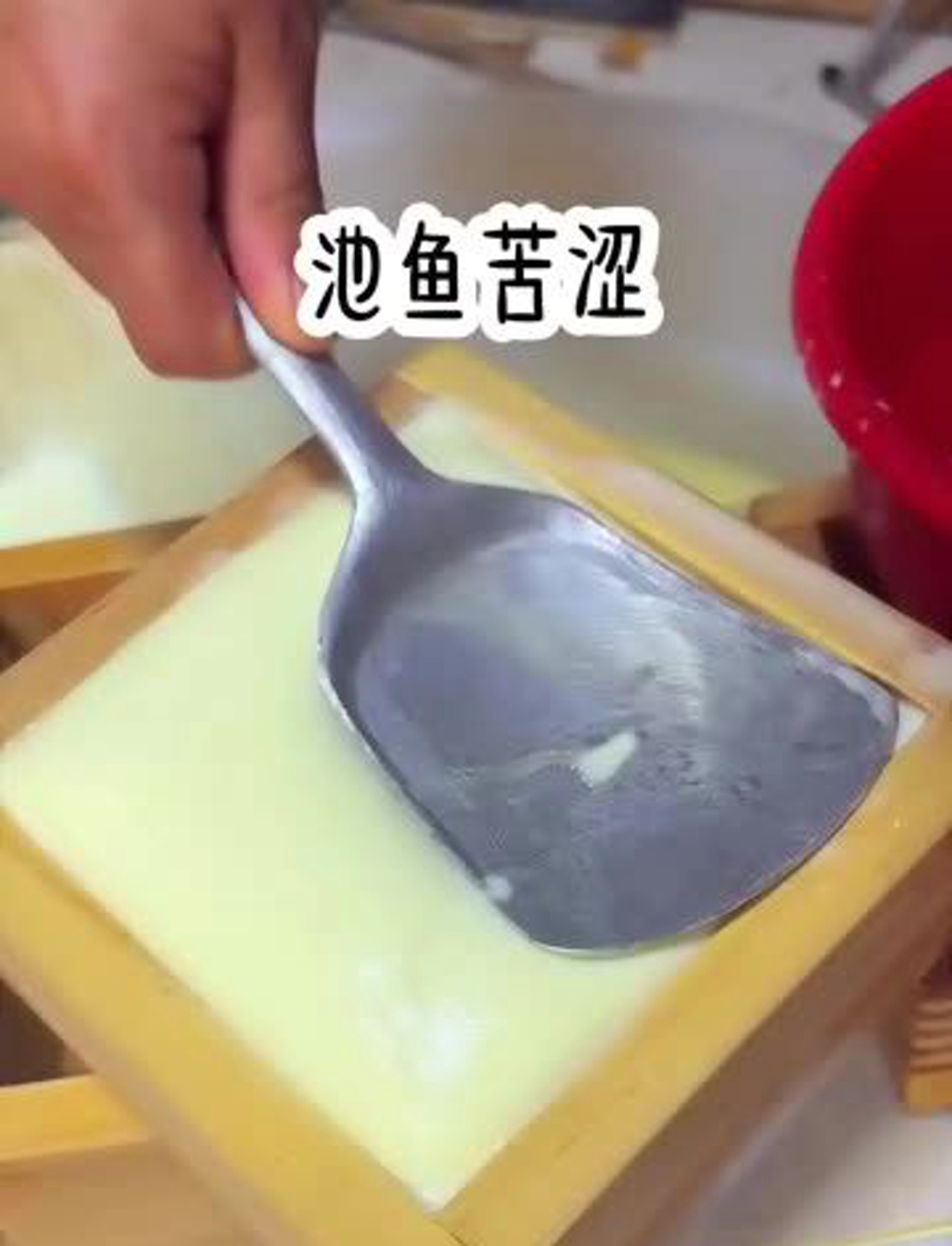 水里的鱼儿尝尽了苦头