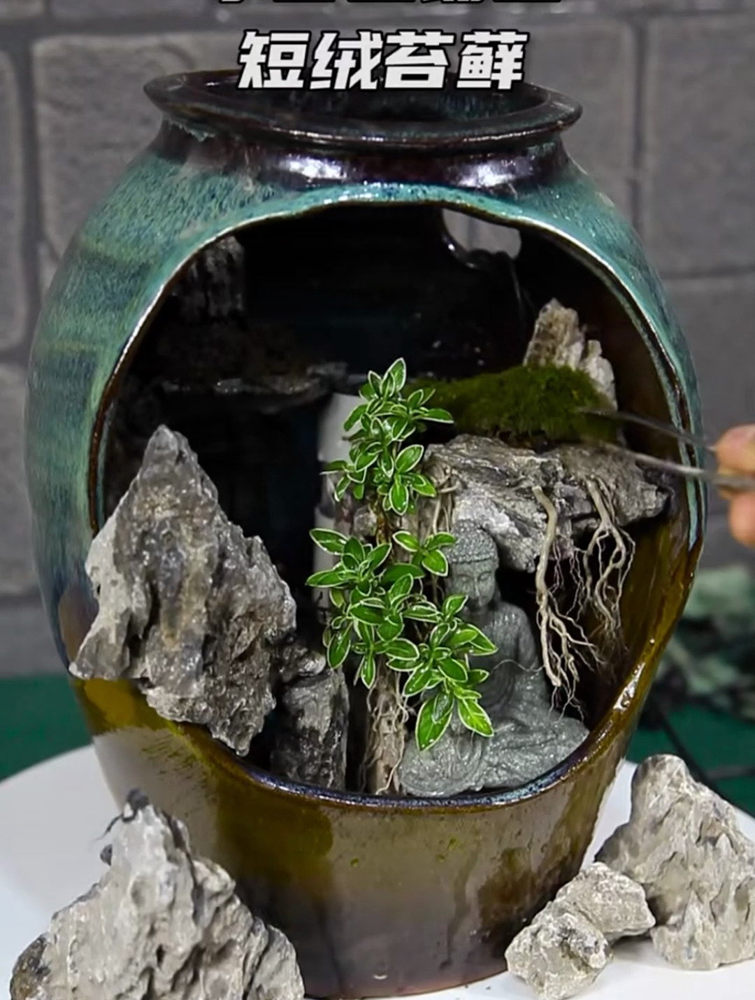 陶罐微景观喜欢吗?分享制作教程,想要一个的赶紧动手试试吧!