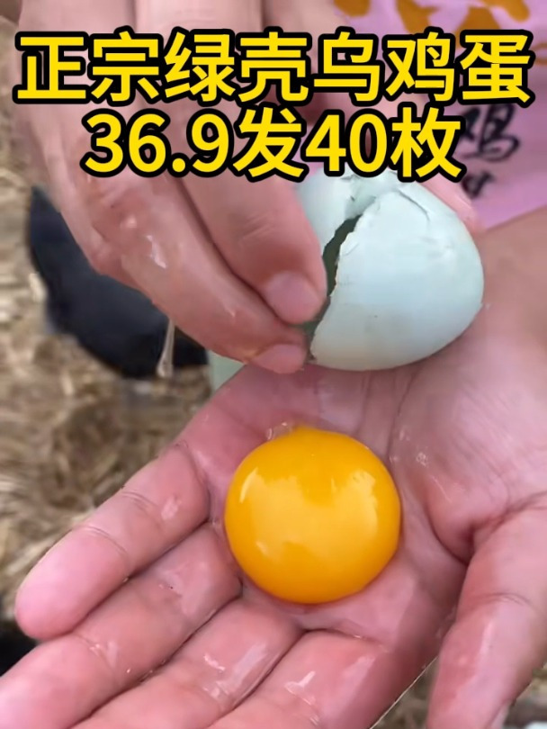 正宗绿壳土鸡蛋土乌鸡蛋