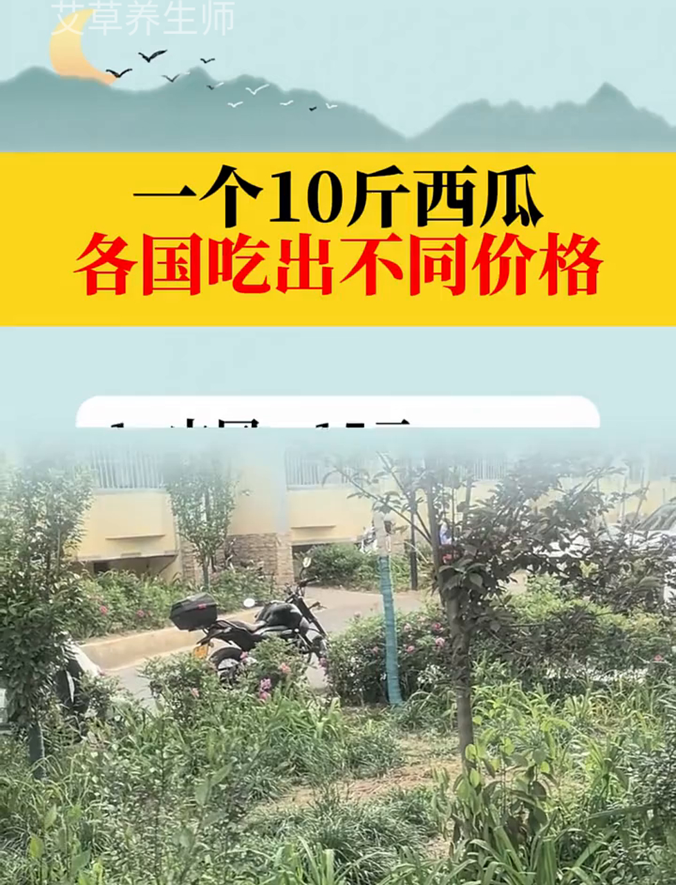 十斤大西瓜,各国吃法价格大不同