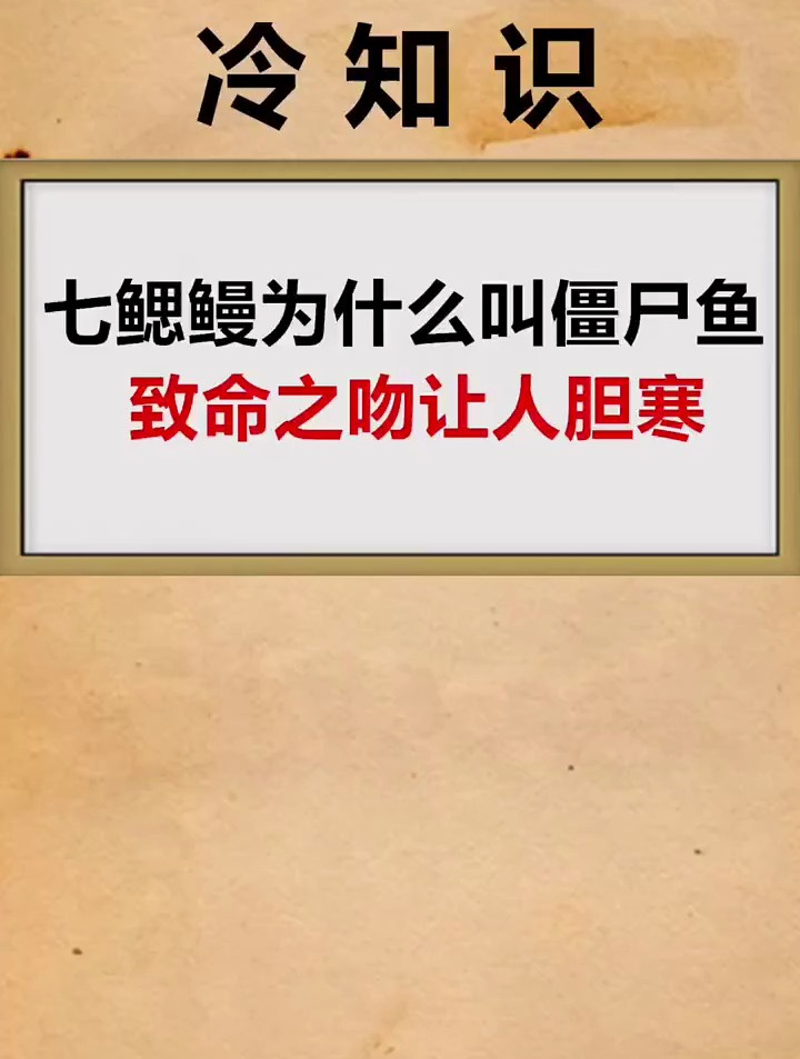 这种鱼你知道吗?好恐怖