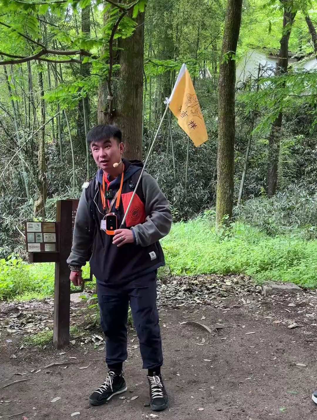 这棵摇钱树大有来头,你来九华山摸过它吗?