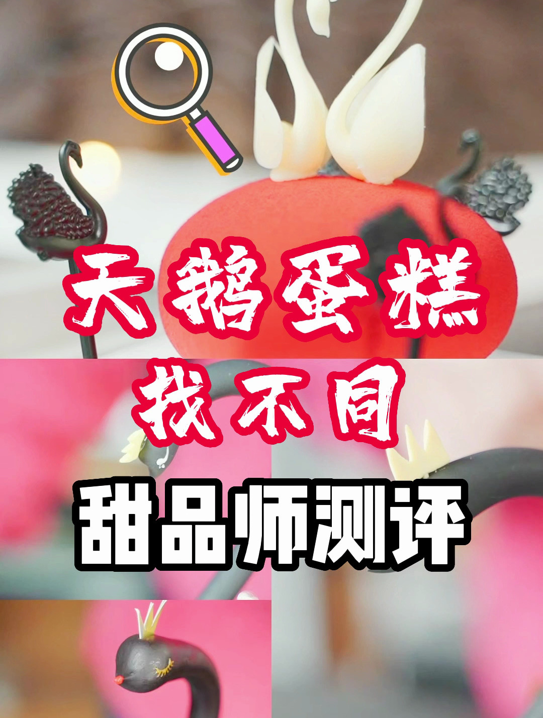 找了3只网上很热的“黑天鹅蛋糕”来找不同