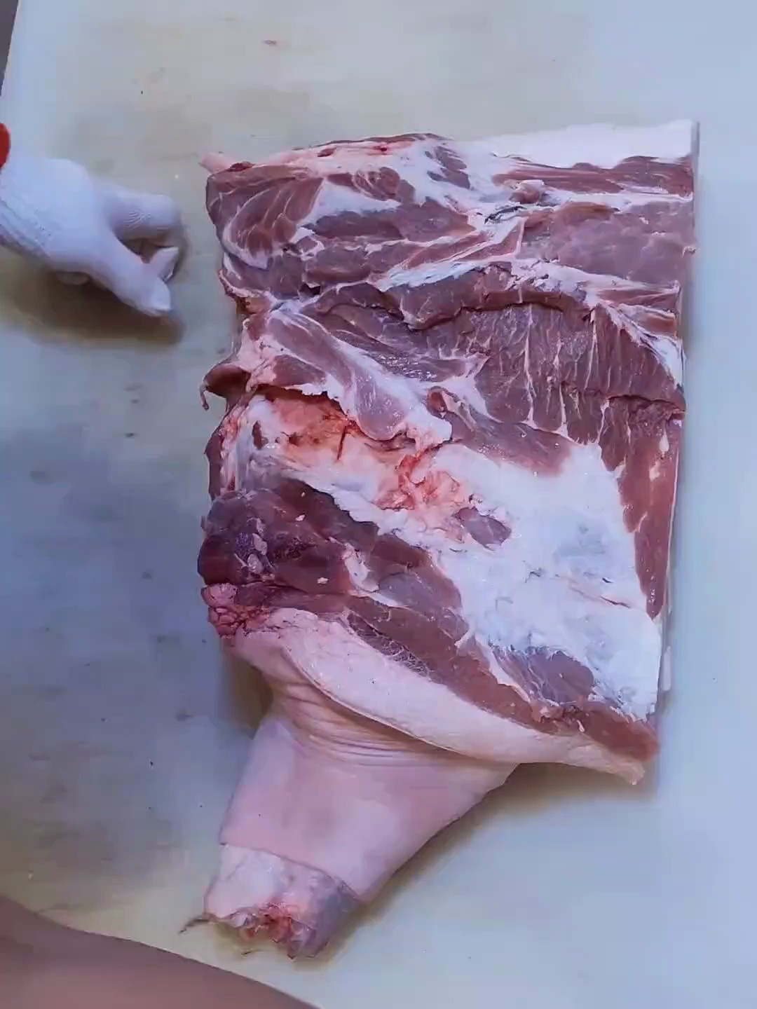 猪肉分割技巧 分割教程