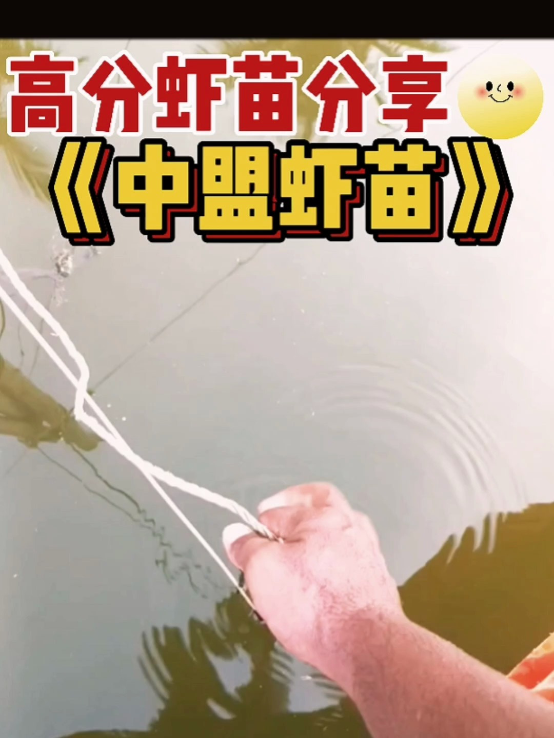 太棒了!22天的虾苗,生长速度让人震惊!