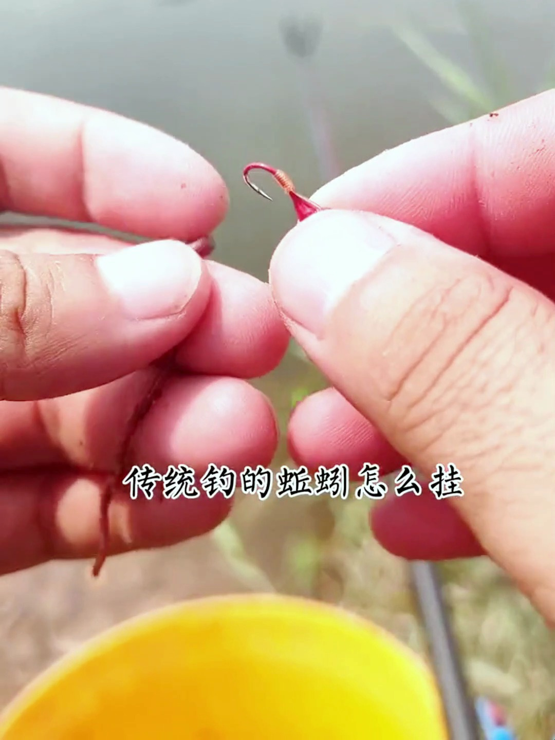 钓鱼时蚯蚓该怎么挂?挂一整根还是挂满鱼钩?这个视频教会你