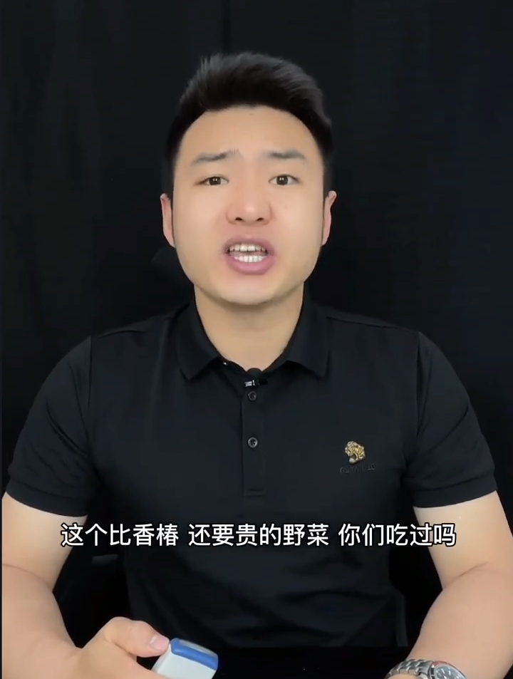 刺老芽野菜测评,这刺老芽 你们吃过吗?