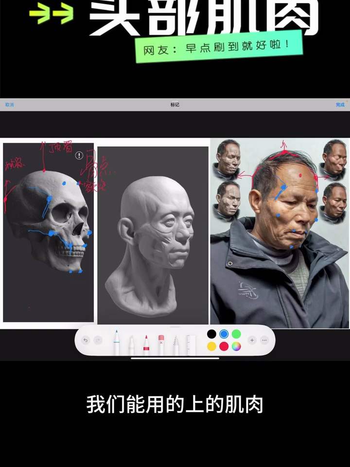 素描小课堂|美术生素描头骨上的节点教学