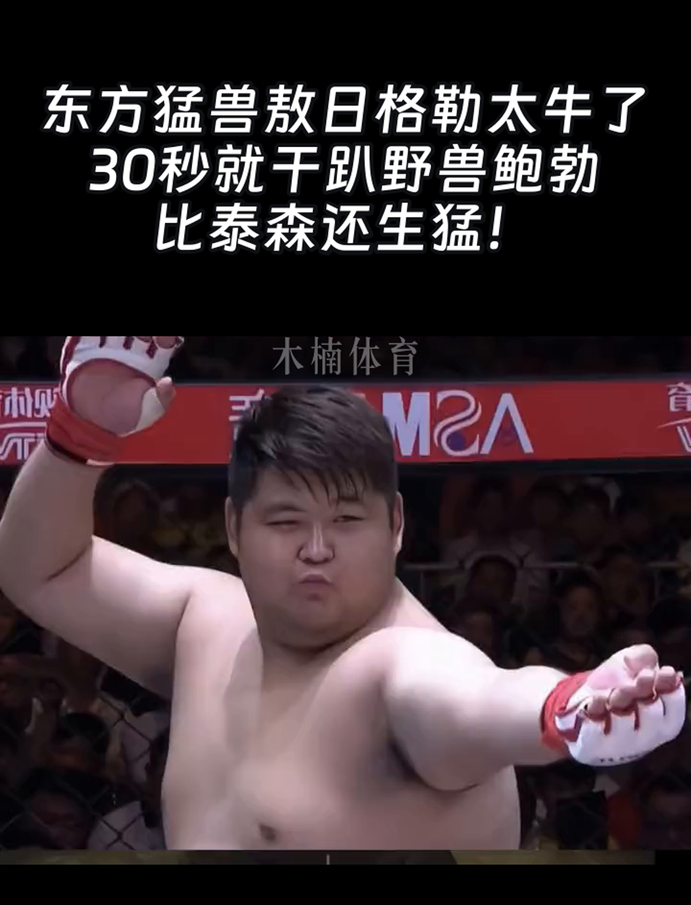 东方猛兽敖日格勒太牛了,30秒就干趴野兽鲍勃,比泰森还生猛!