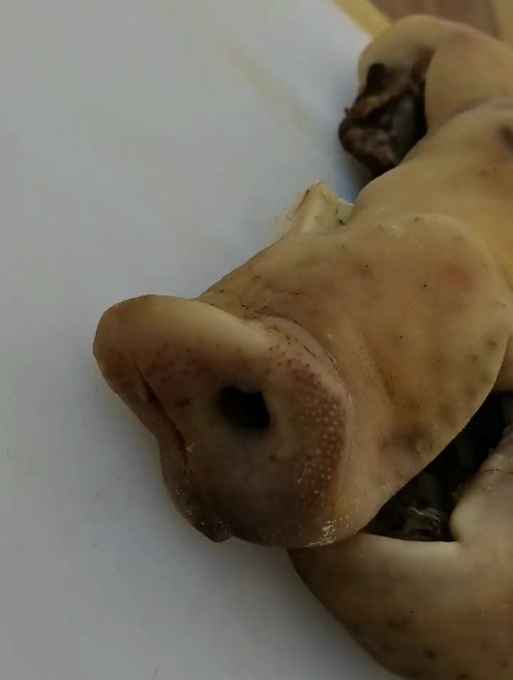 吃过的评论区留言1没吃过的评论区留言2,有机会得有机猪头肉!