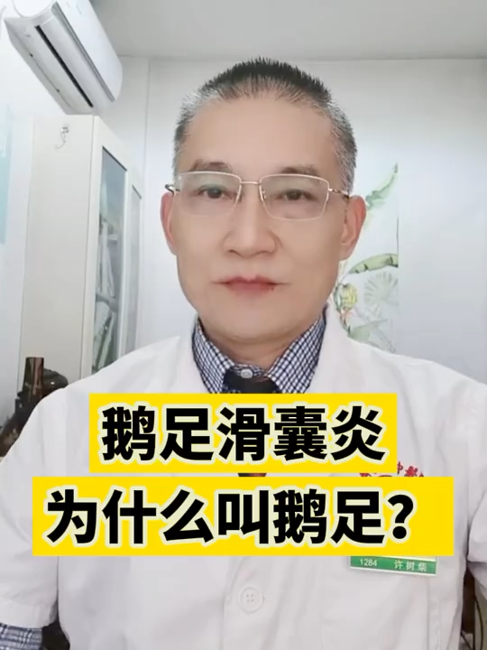 鹅足滑囊炎为什么叫鹅足?