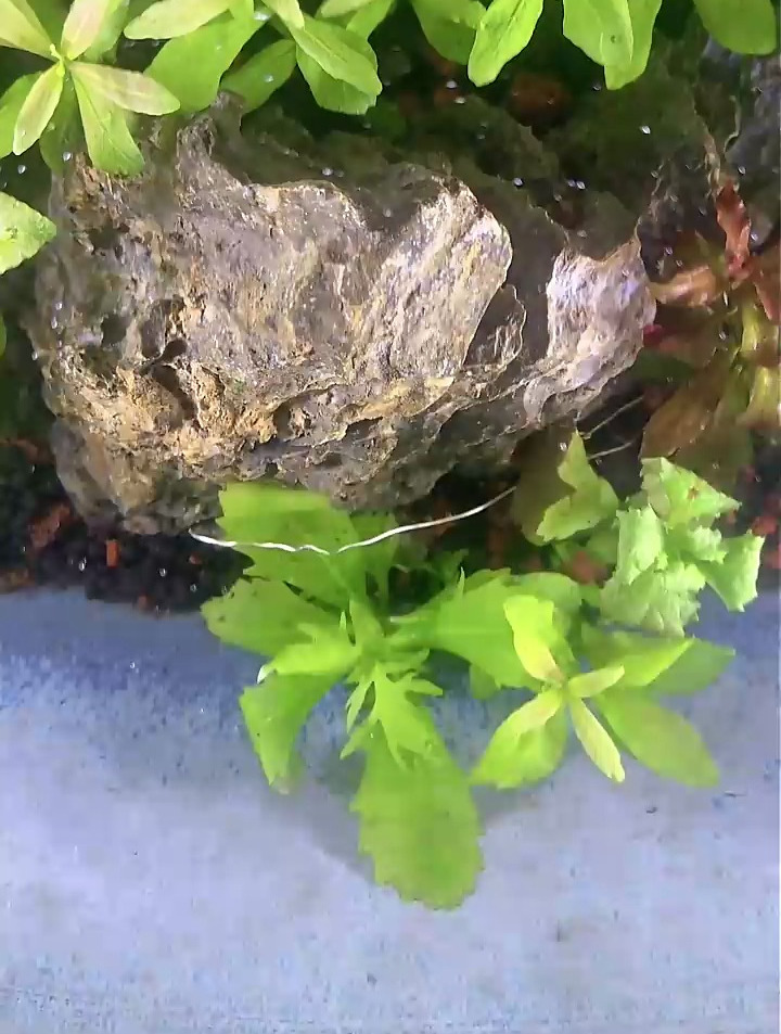 精美玉兰花柜式鱼缸,牧溪源景德镇陶瓷鱼缸养鱼盆,带过滤