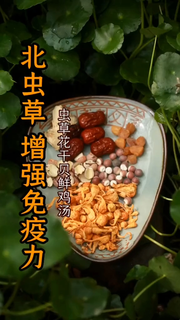 这个虫草花干贝汤考虑一下,强身补虚还加钙!