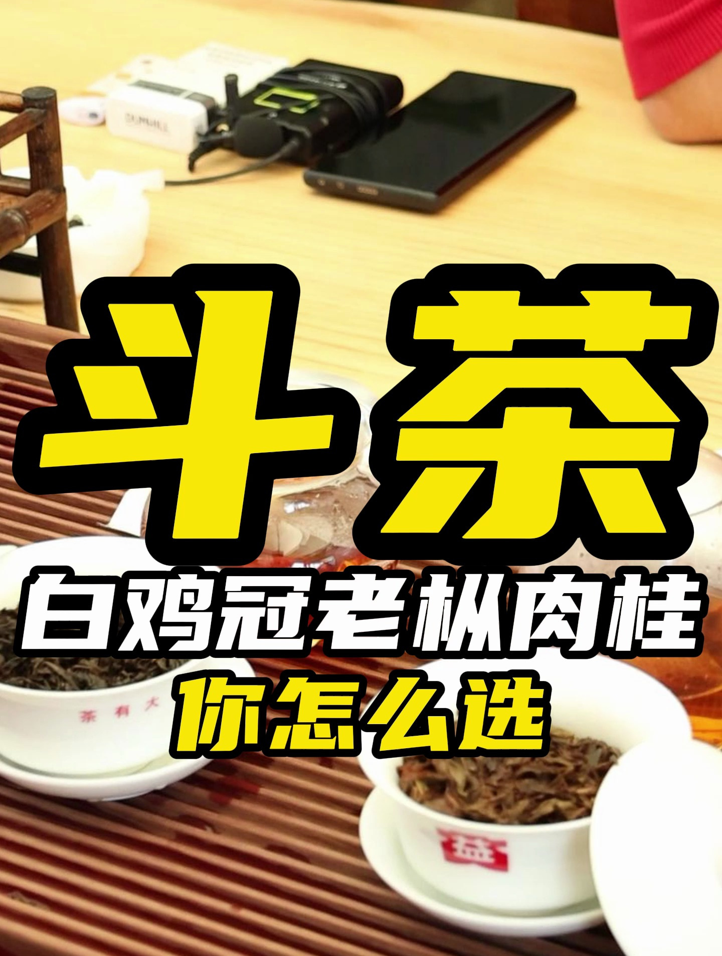 斗茶白鸡冠老枞肉桂你怎么选?
