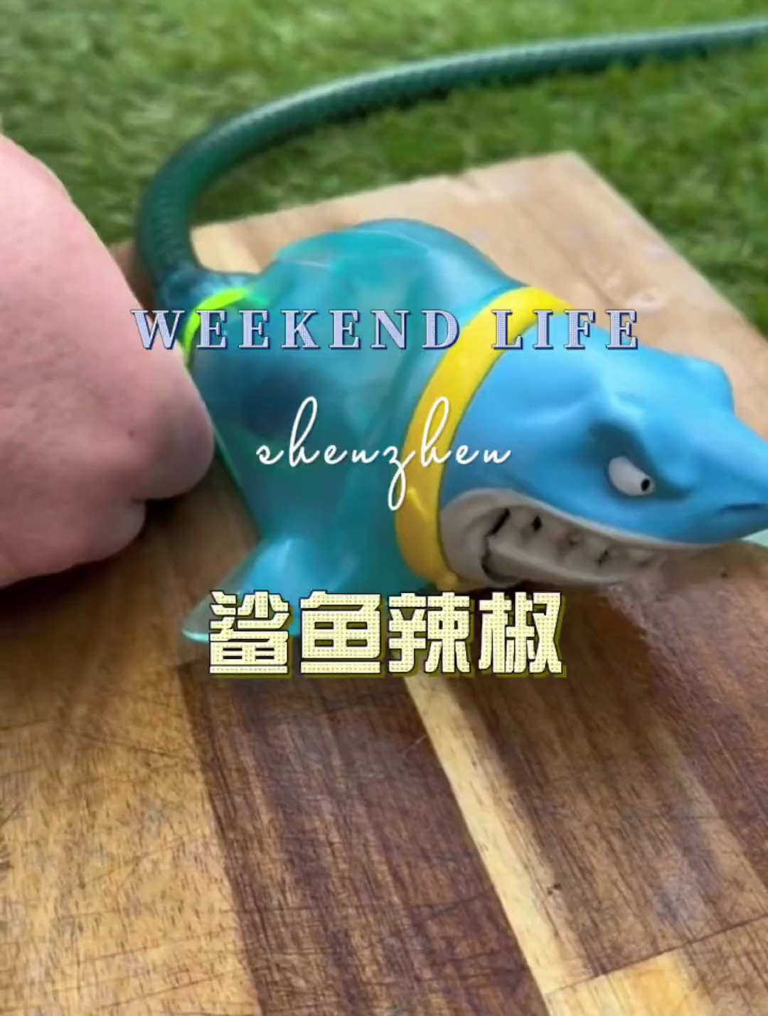 所以你们认识鲨鱼辣椒吗?