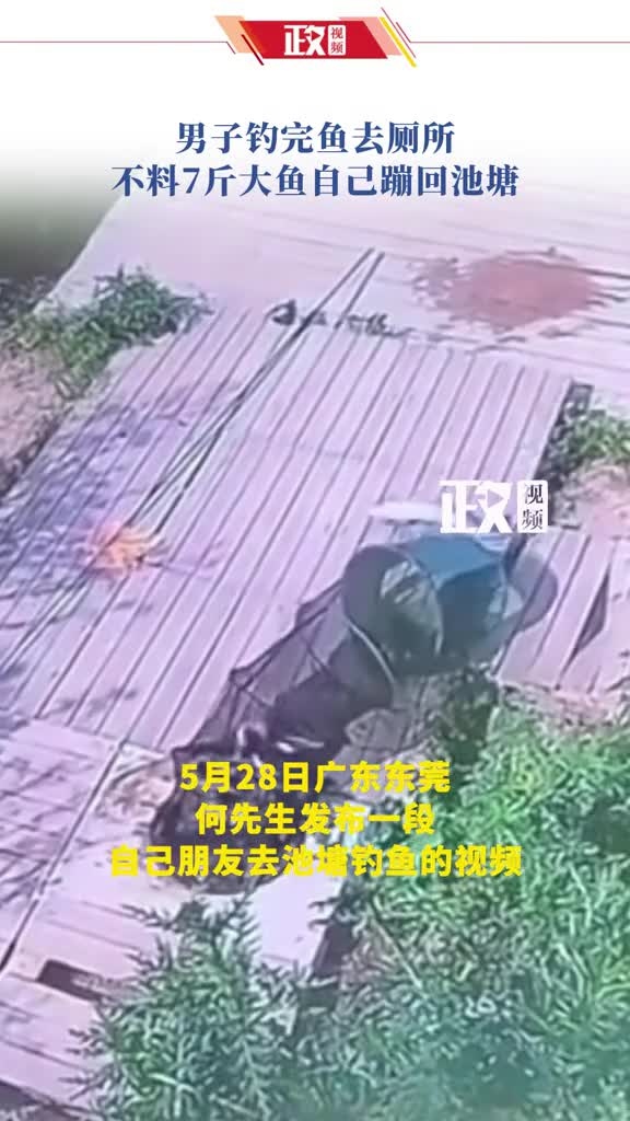 男子钓完鱼去厕所不料7斤大鱼蹦回池塘,朋友:很搞笑,平常都很少见这种场面