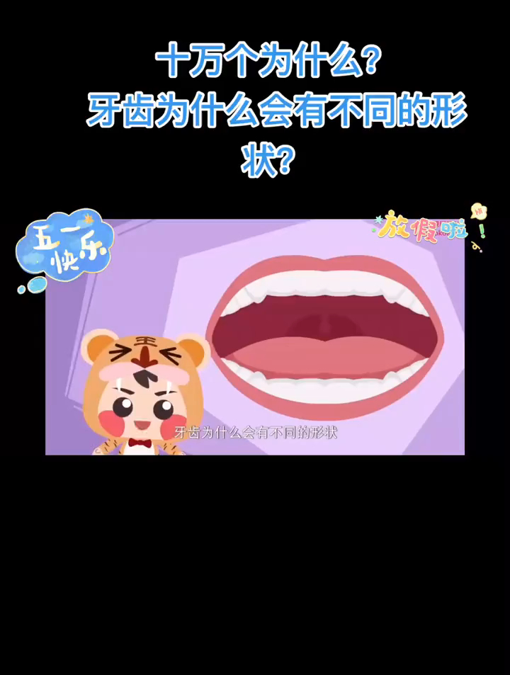 十万个为什么?牙齿为什么会有不同的形状?