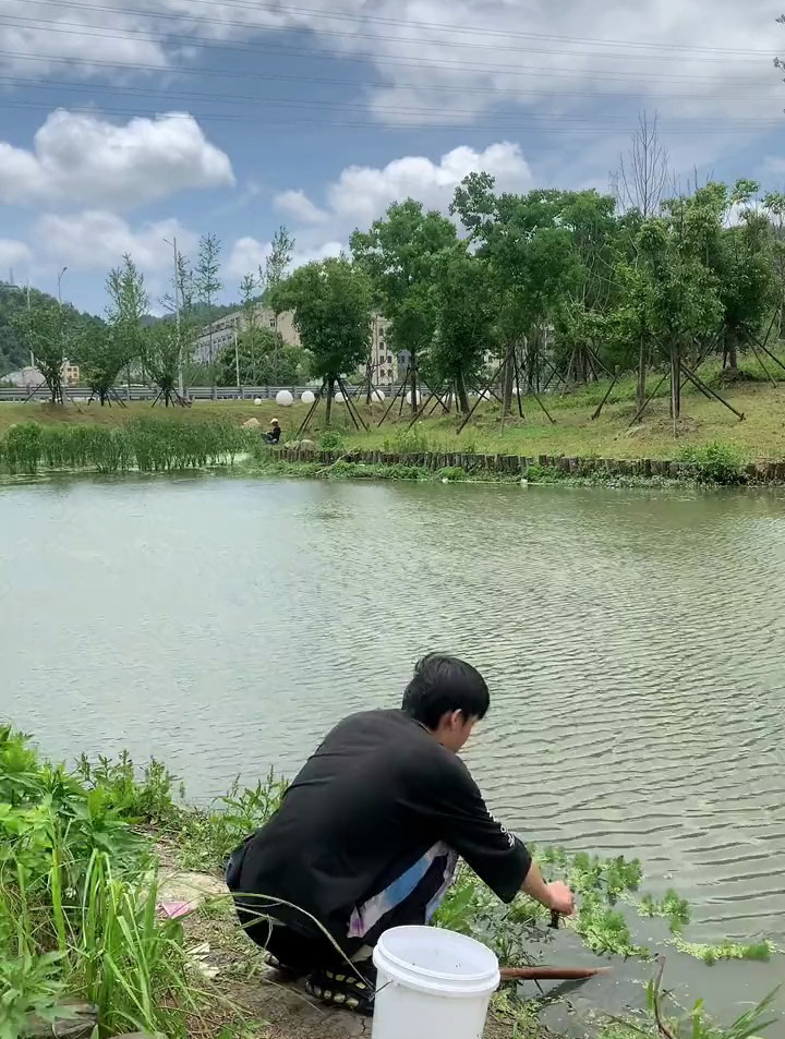 小时候的乐趣,钓龙虾满满的回忆