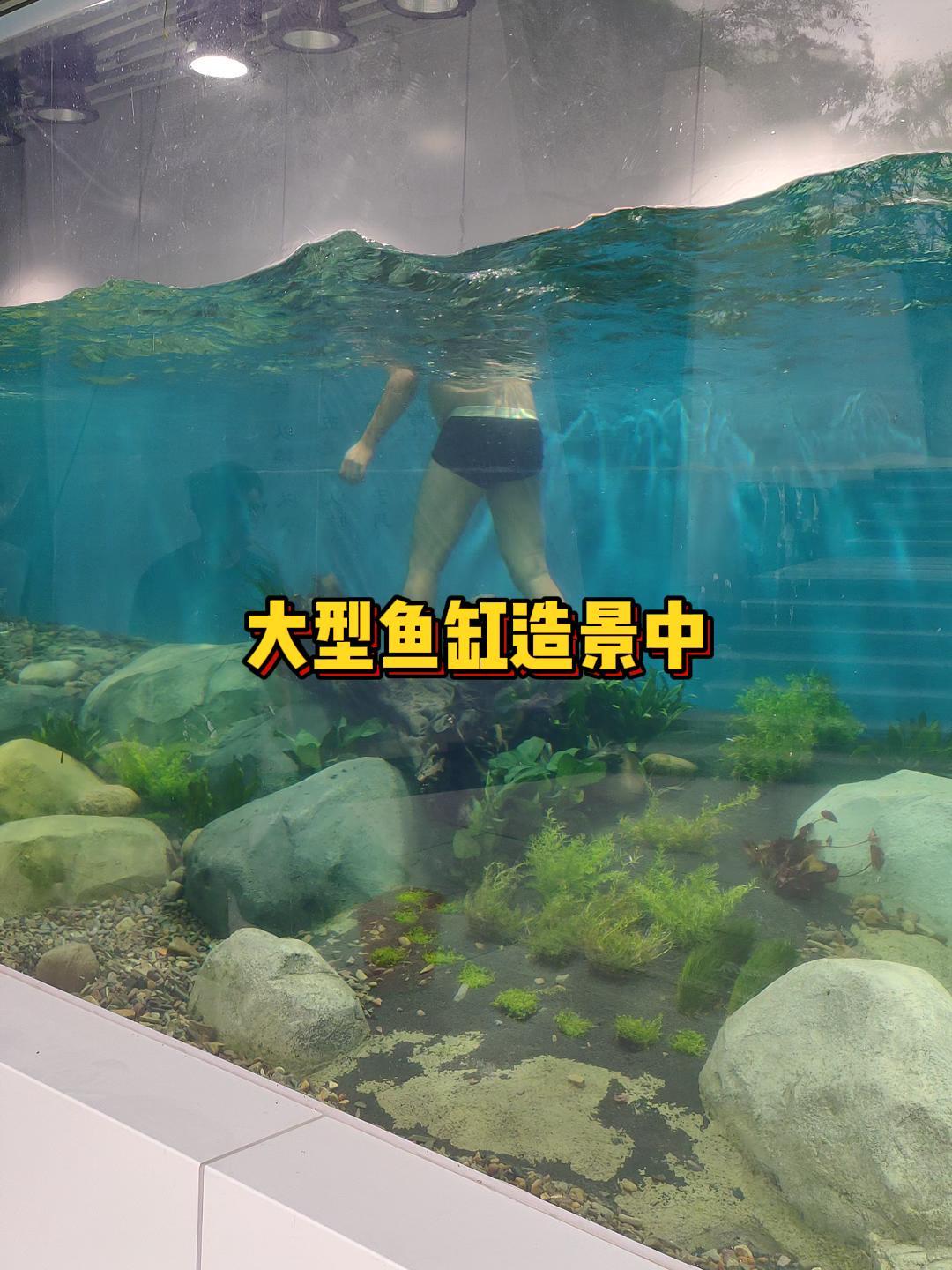 大型亚克力鱼缸正在造景,鱼缸里的大自然