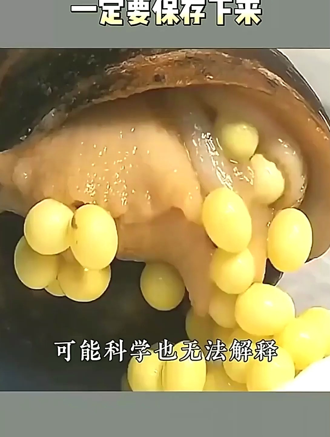 春天“掉秤”飞快地6道菜,好吃不长肉,节后减肥,全指望它们了